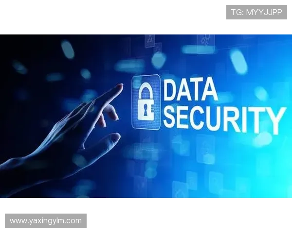 亚星管理登录地址安全保障措施，保障企业数据安全与隐私保护