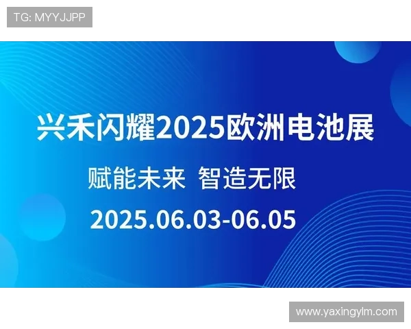 掌握亚星222登录方式避免登录困难的实用指南
